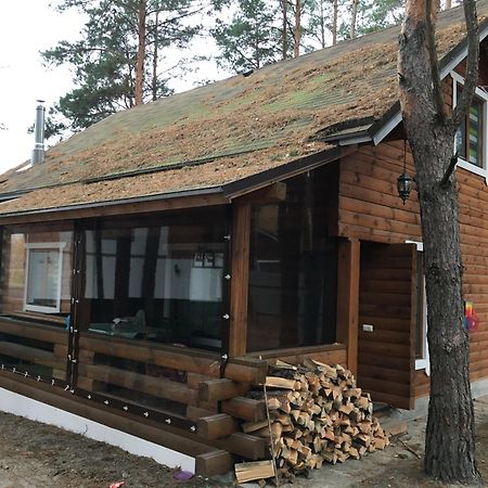Ekodom Villa Voropayev Exteriör bild